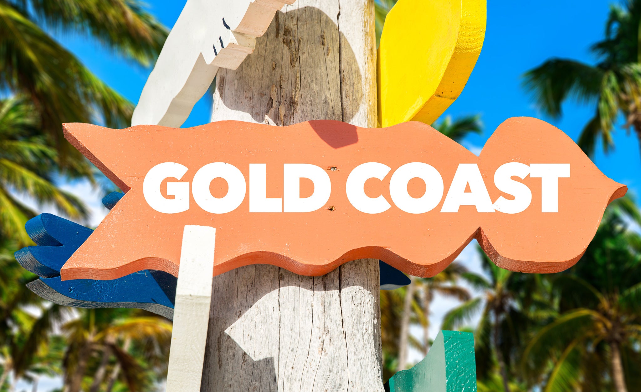 Fresh Flowers Delivered on the Gold Coast - The Posy Co