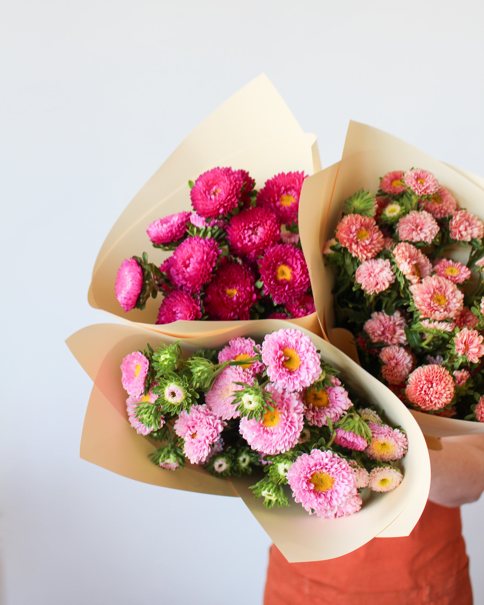 The Market Posy - Aster Lucky Dip