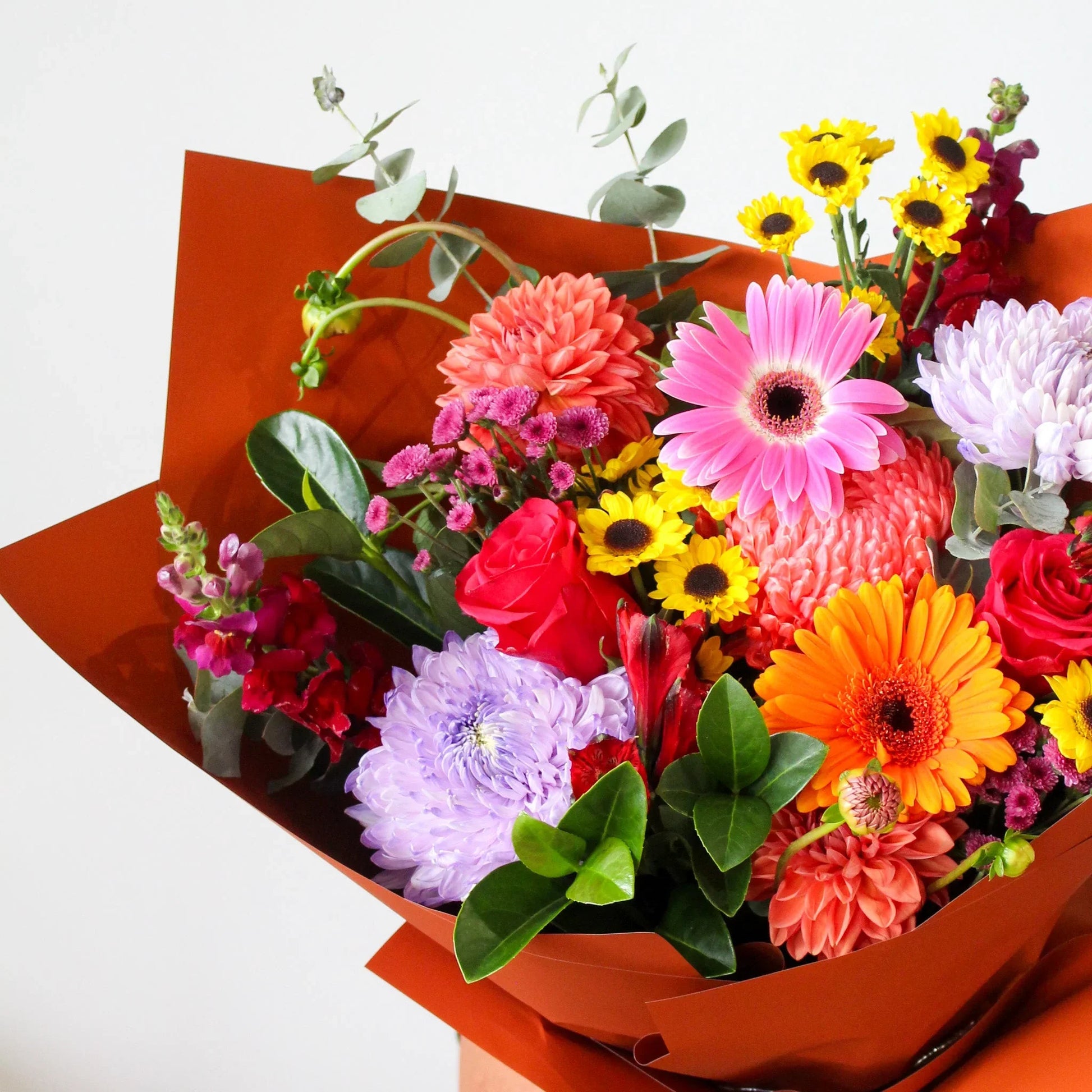Bright Posy - Large - The Posy Co
