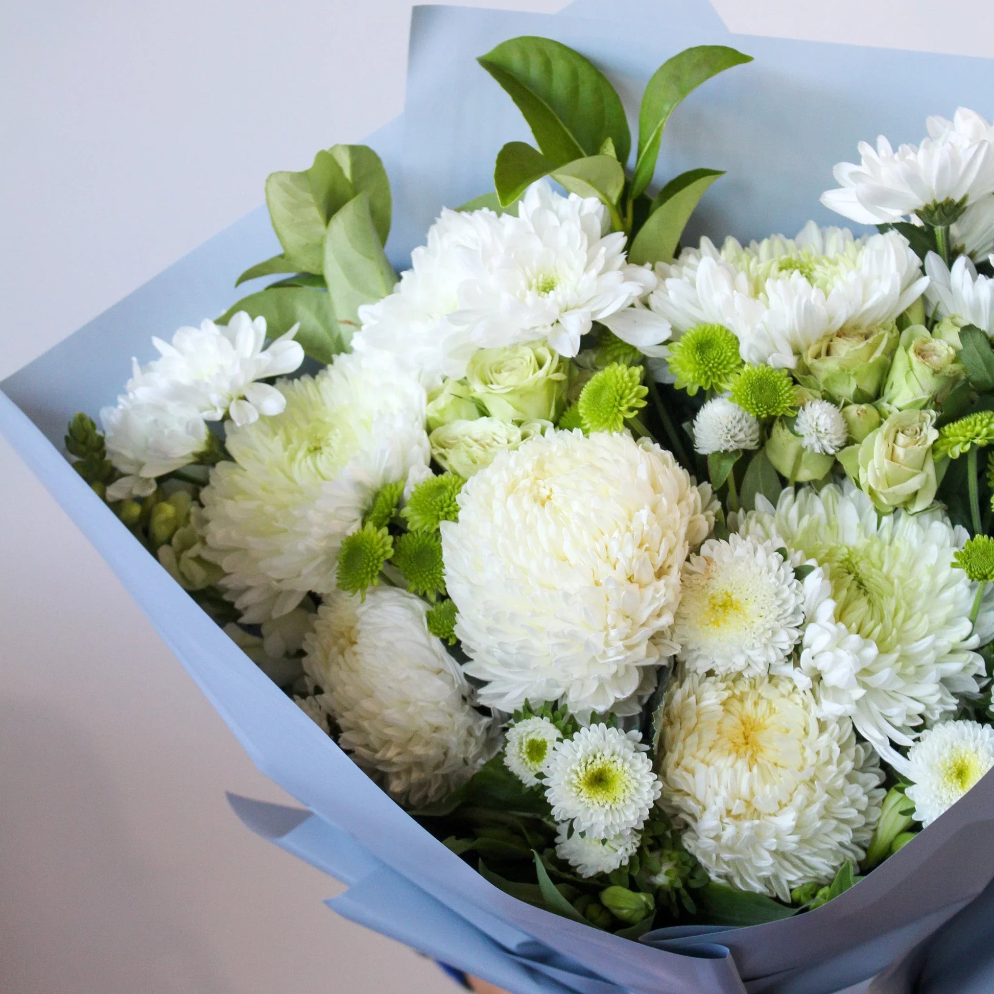 Classic Posy - Large - The Posy Co