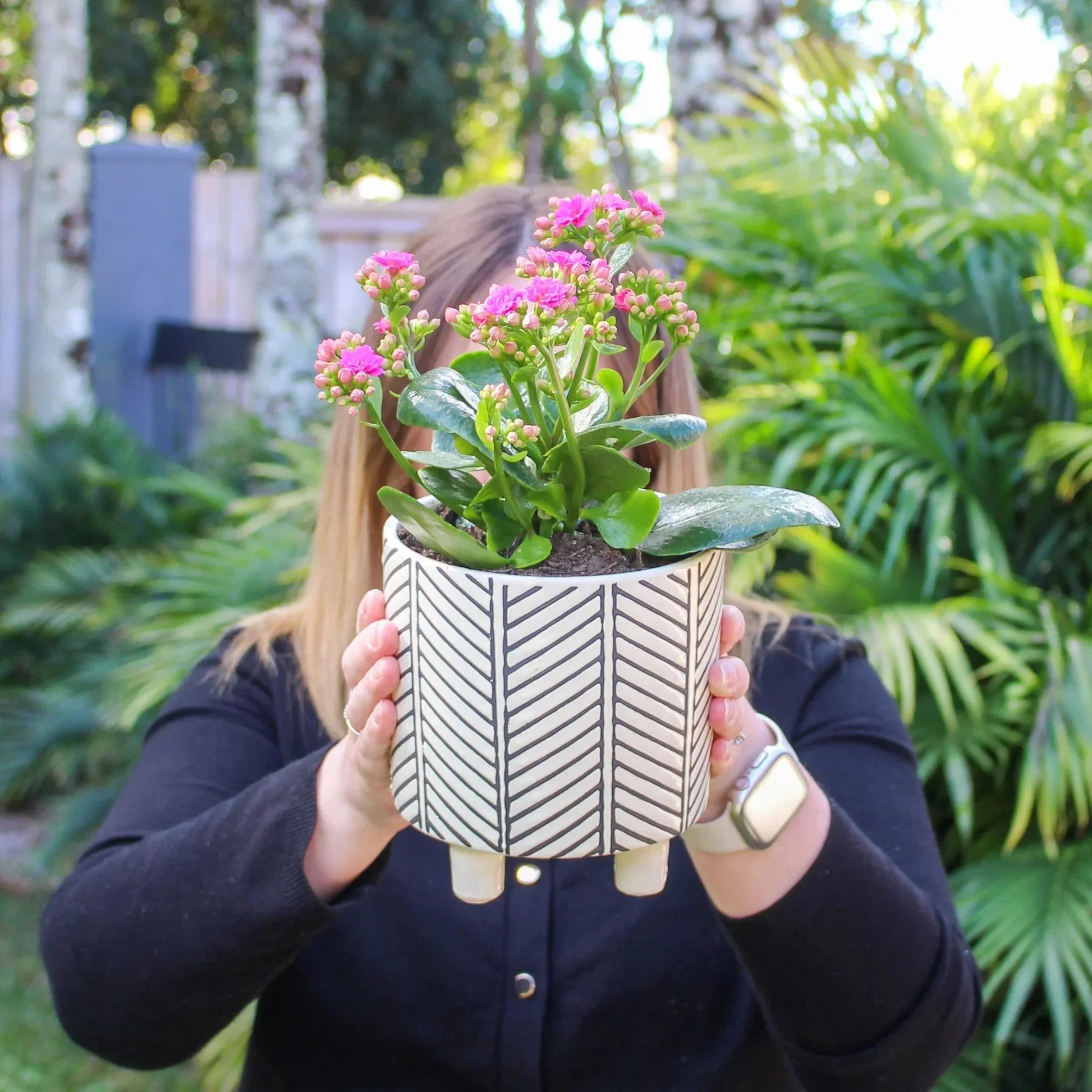 Kalanchoe Plant + Ceramic Trend Pot - The Posy Co