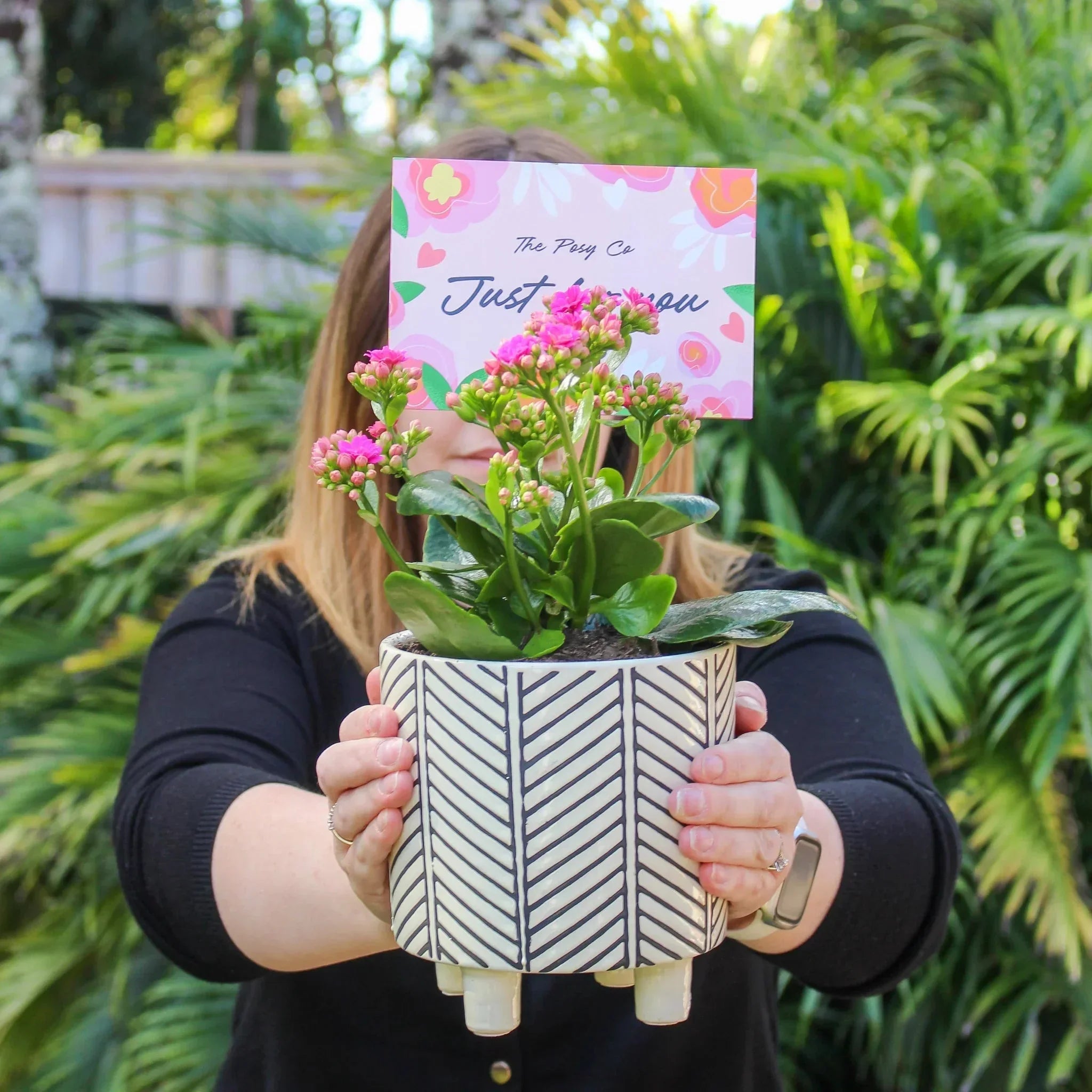 Kalanchoe Plant + Ceramic Trend Pot - The Posy Co