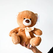 Sunny the Brown Bear - The Posy Co